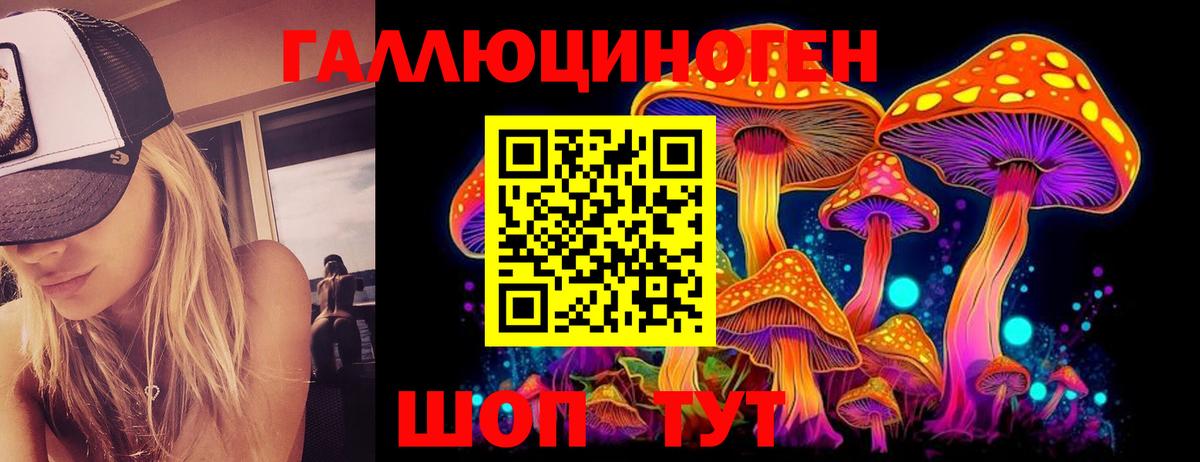 Галлюциногенные грибы Magic Shrooms  Псилоцибиновые грибы Cubensis  Лениногорск  Вход с VPN 